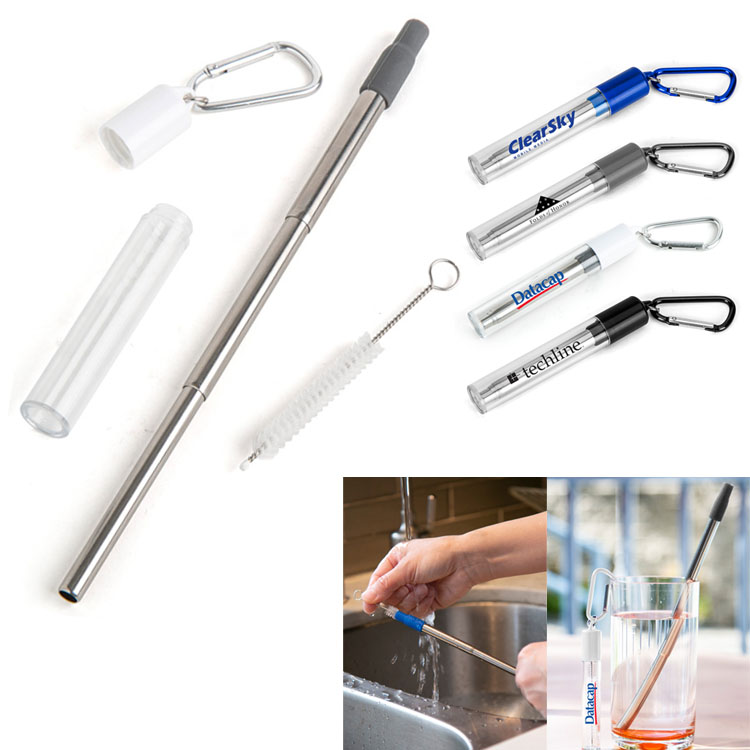 Stainless Steel Straw Retractable with cleaning brush carabiner case